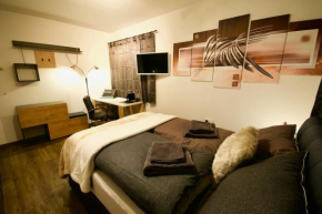 Serviced Business Apartment